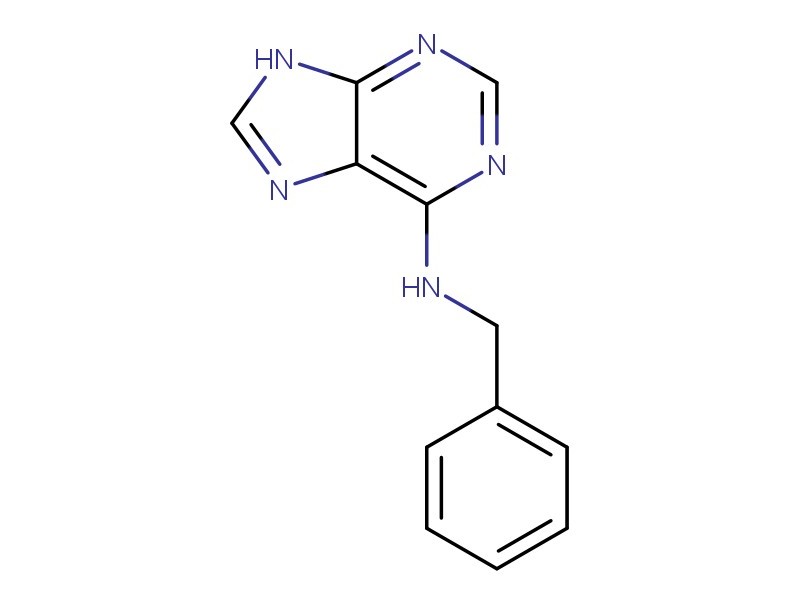 6-BENZYL ADENINE-25GM