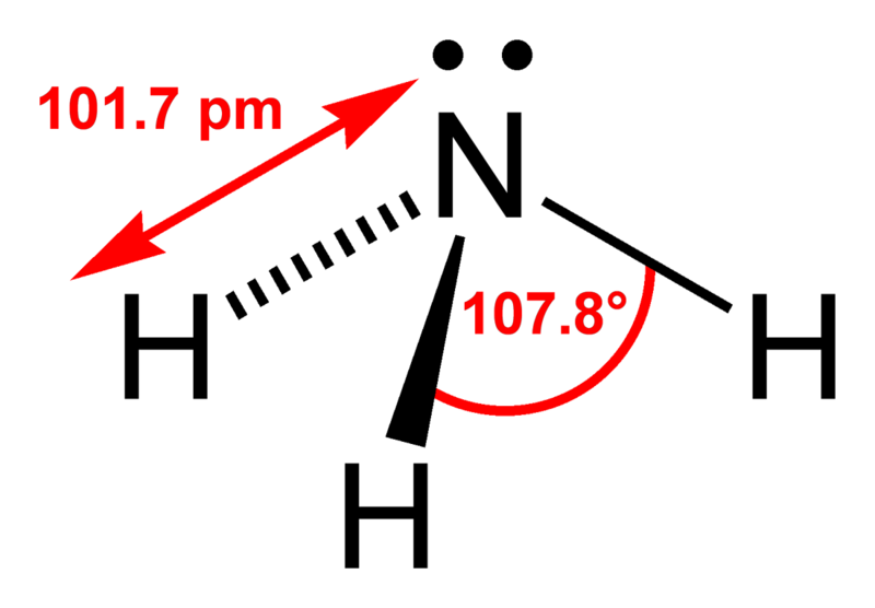 Tetrachloride test