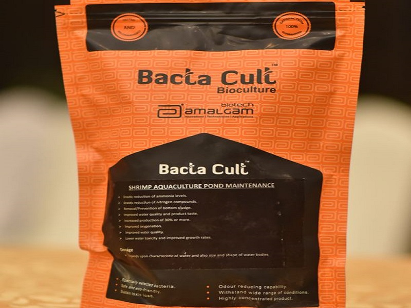BACTA CULT- Shrimp Aquaculture 
